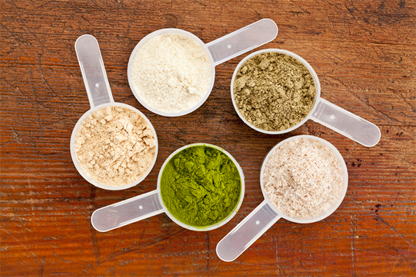 Scoops of Different Plant Protein | Creatine and Protein